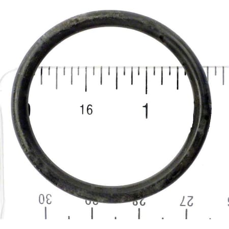 Ala-Pt Anthony 1.5 in. Piston O-Ring APCO2091